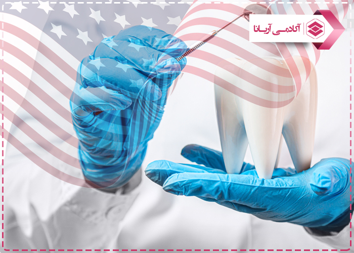 تحصیل دندانپزشکی در امریکا
